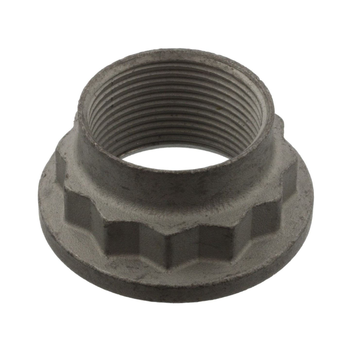 9069900253 - DIFFERENTIAL DRIVE PINION NUT