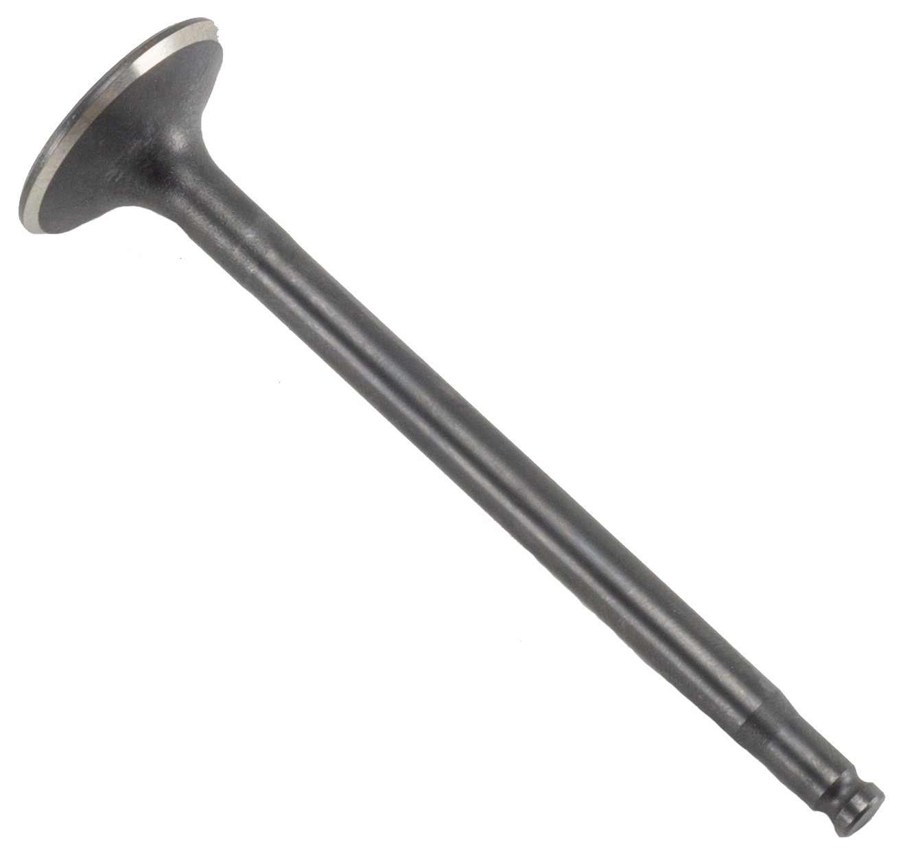 Mercedes Sprinter T1N Intake Valve – Mahle | OM647 2.7L 5-Cylinder | #6280530001